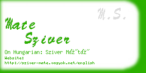 mate sziver business card